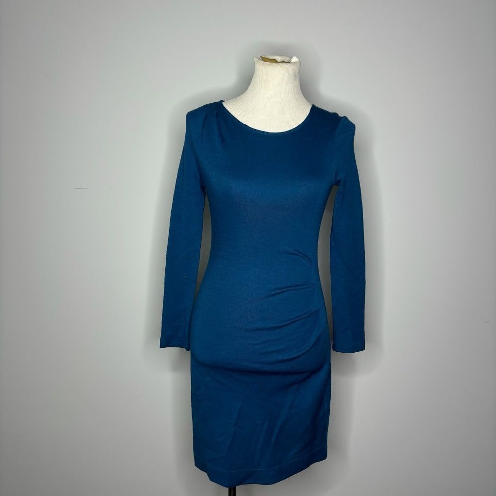 Banana Republic- Blue Long Sleeve Dress